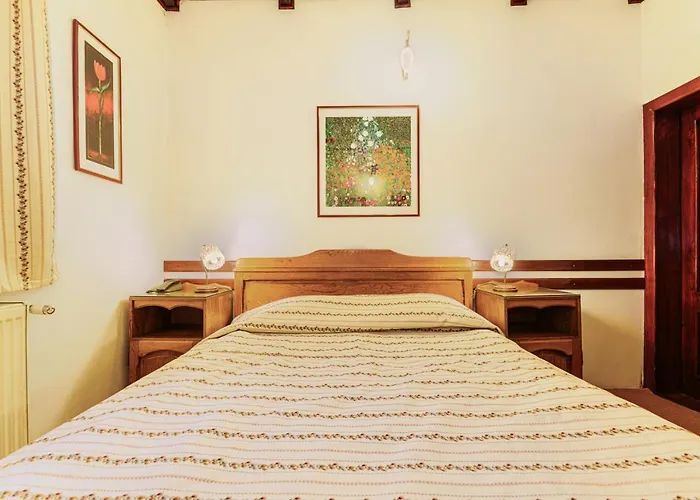 Pension Casa Bradul
