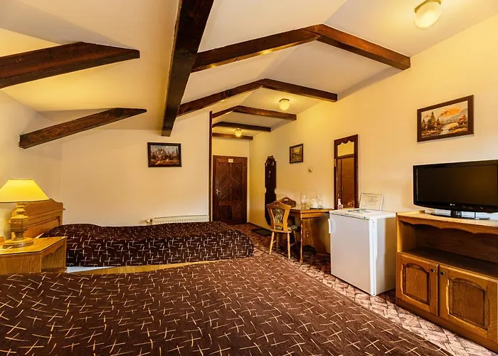 Pension Casa Bradul