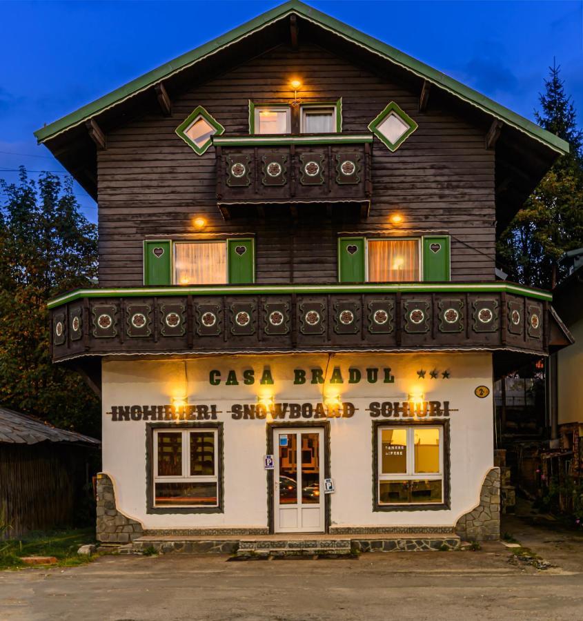 Casa Bradul *