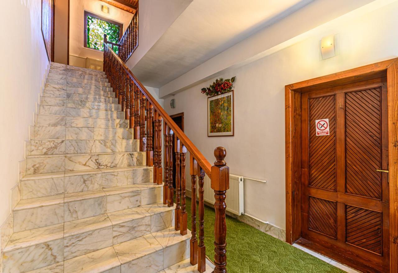 Casa Bradul *